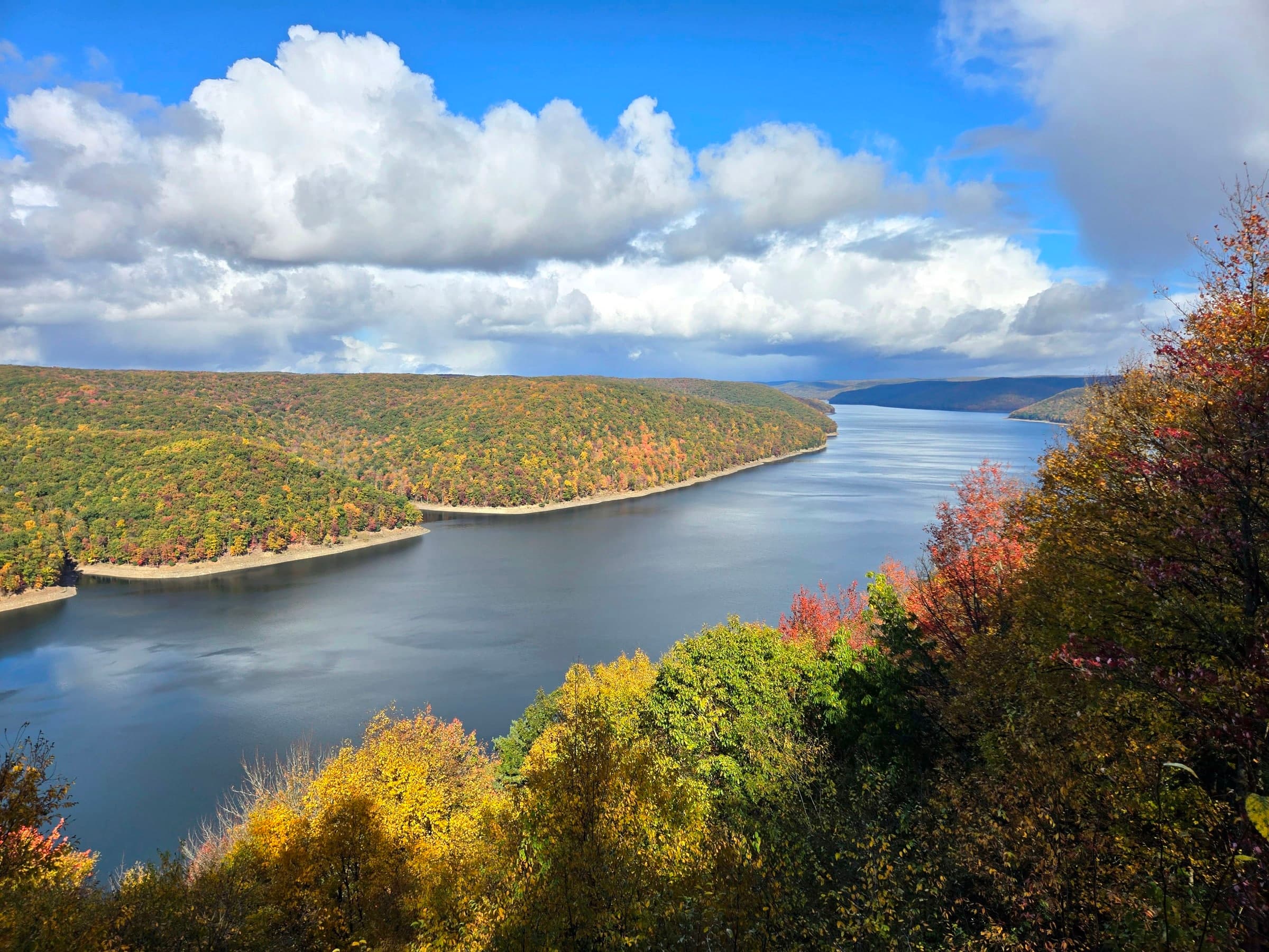 Allegheny National Forest