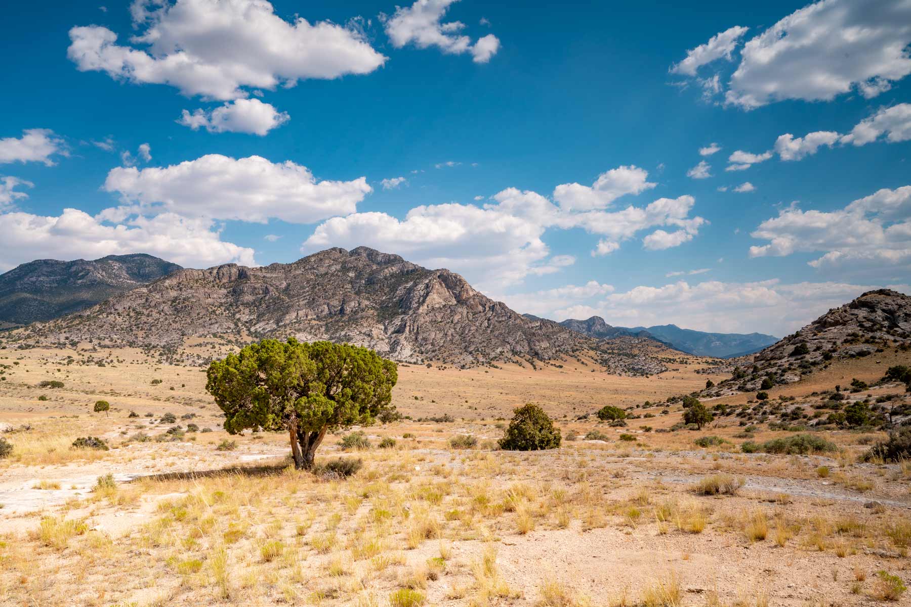 Nevada