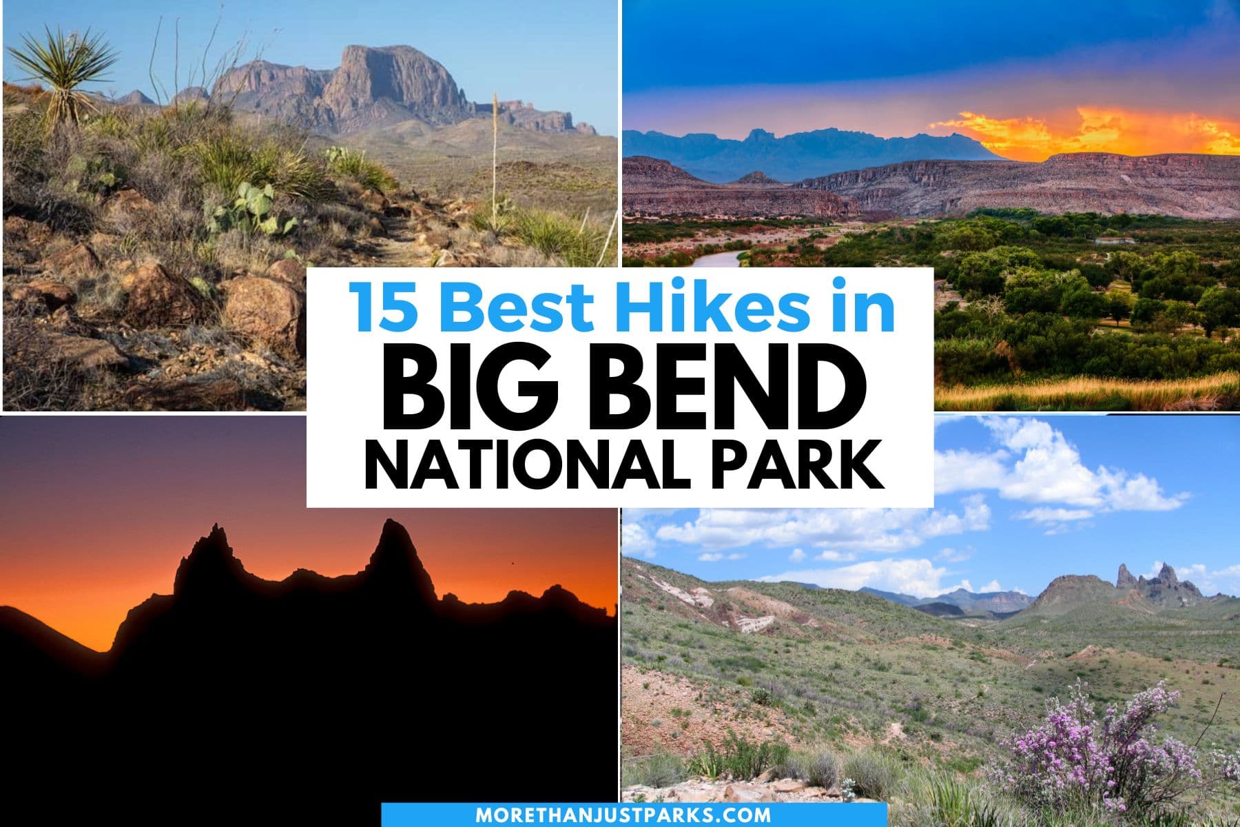 Big Bend National Park