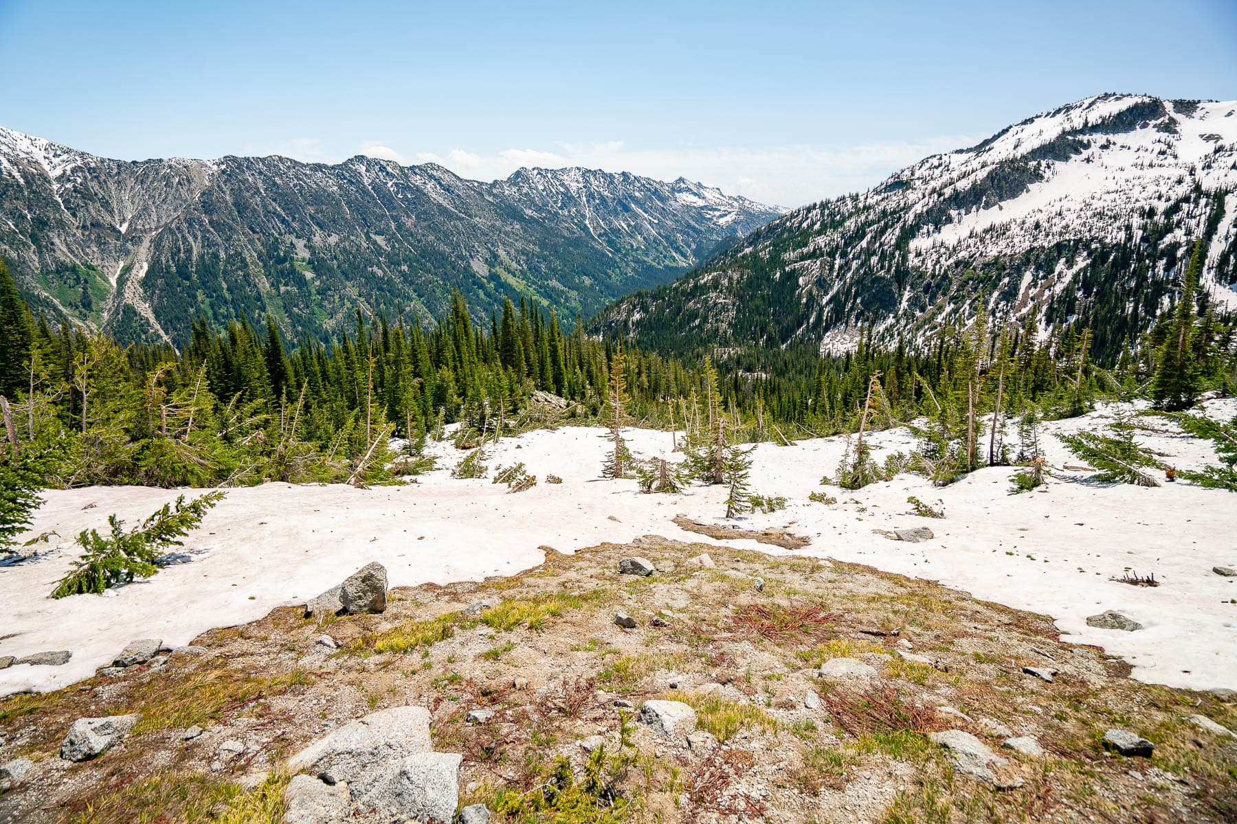 Blue Mountains National Forests