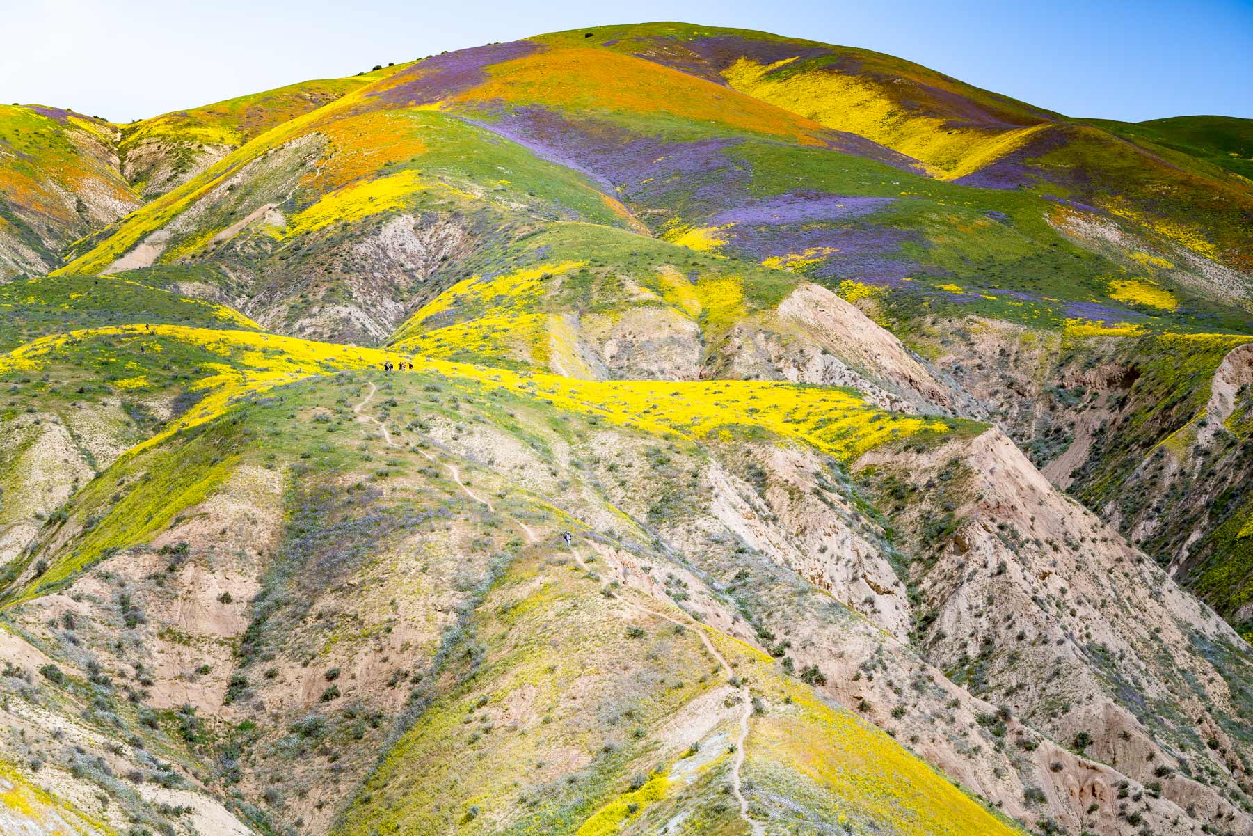Carrizo Plain National Monument