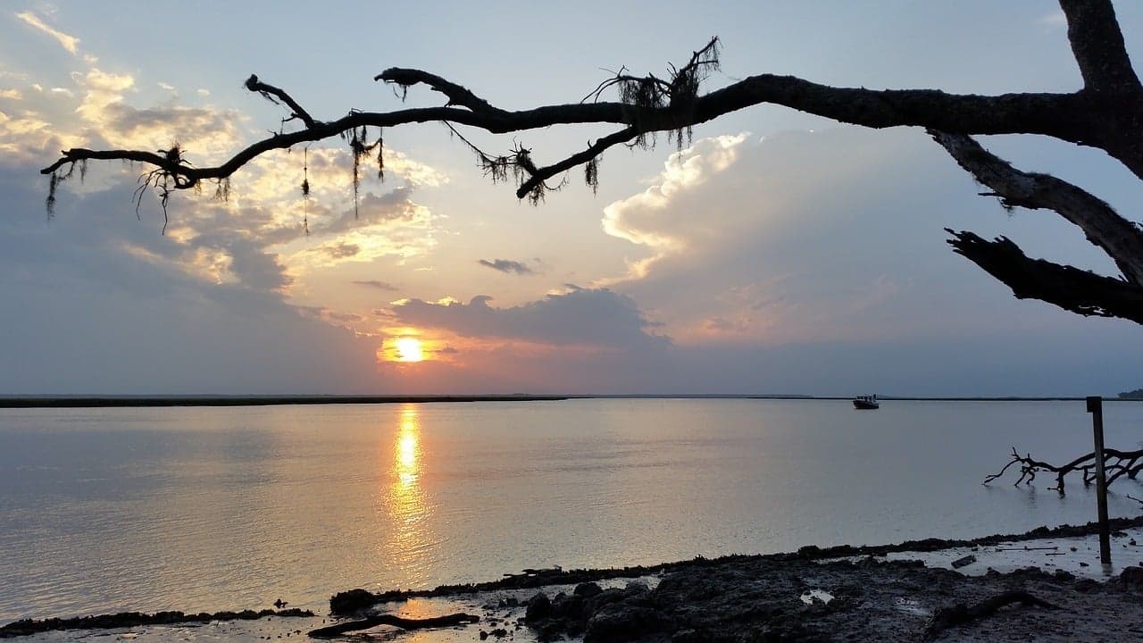 Cumberland Island National Seashore