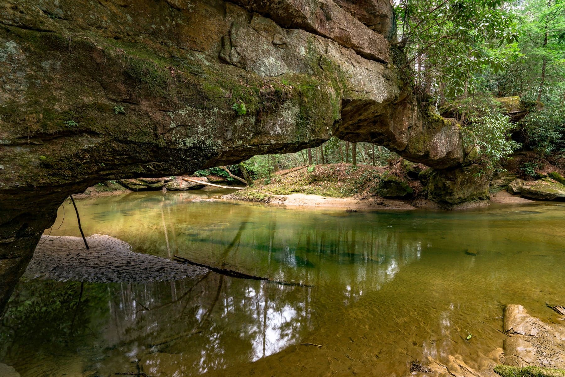 Daniel Boone National Forest