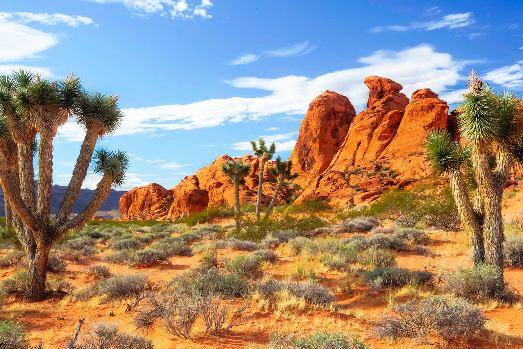 Gold Butte National Monument