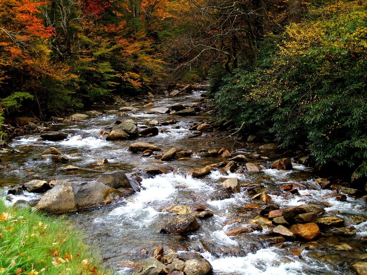 Stewardship & restoration