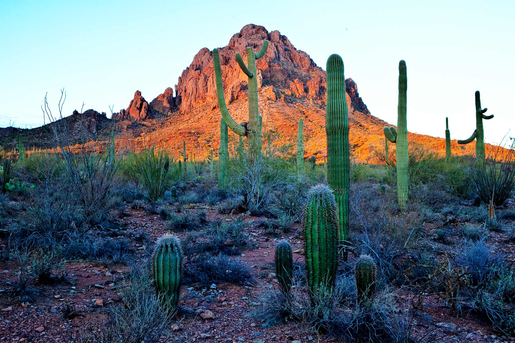 Ironwood Forest National Monument