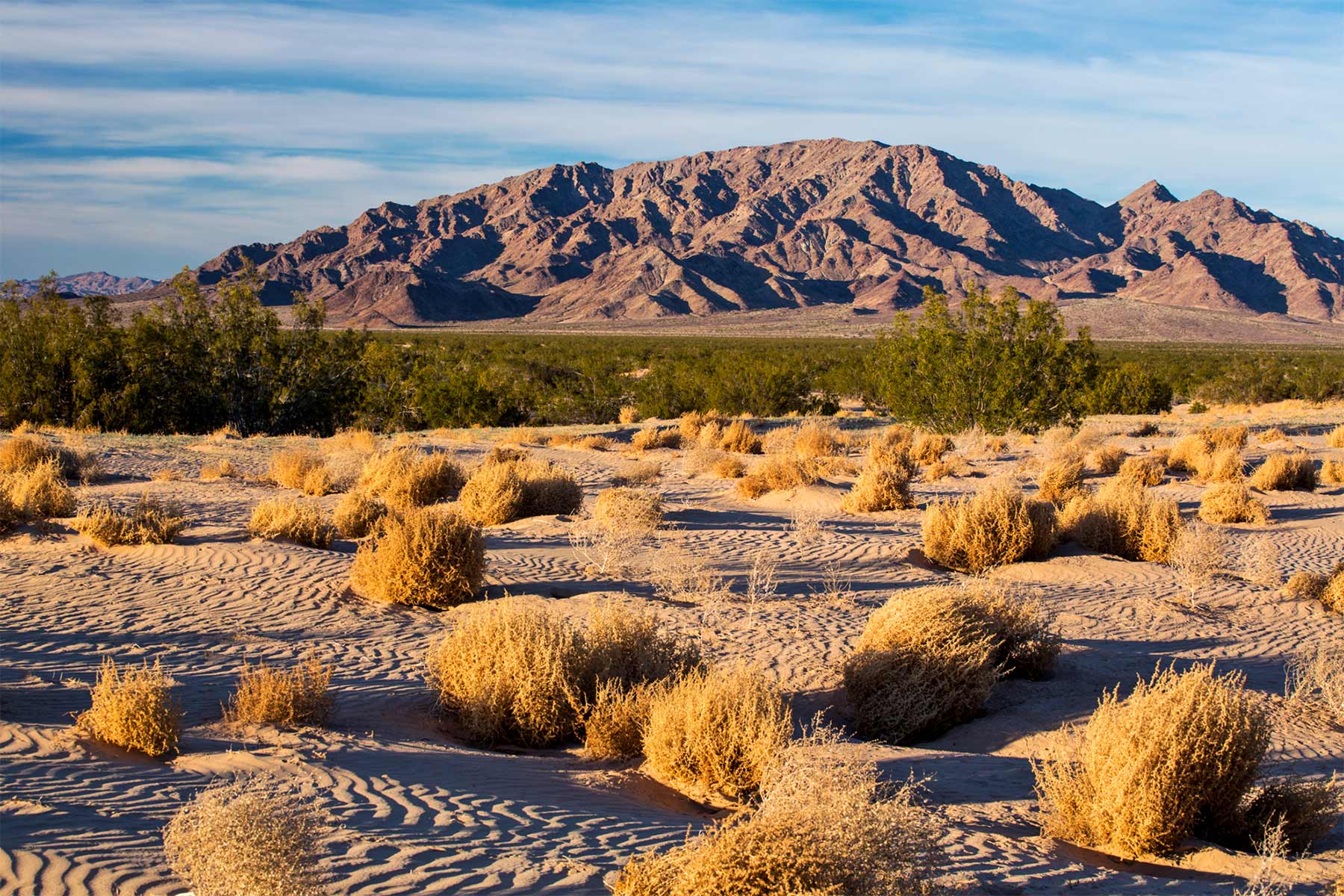 Deserts & BLM lands