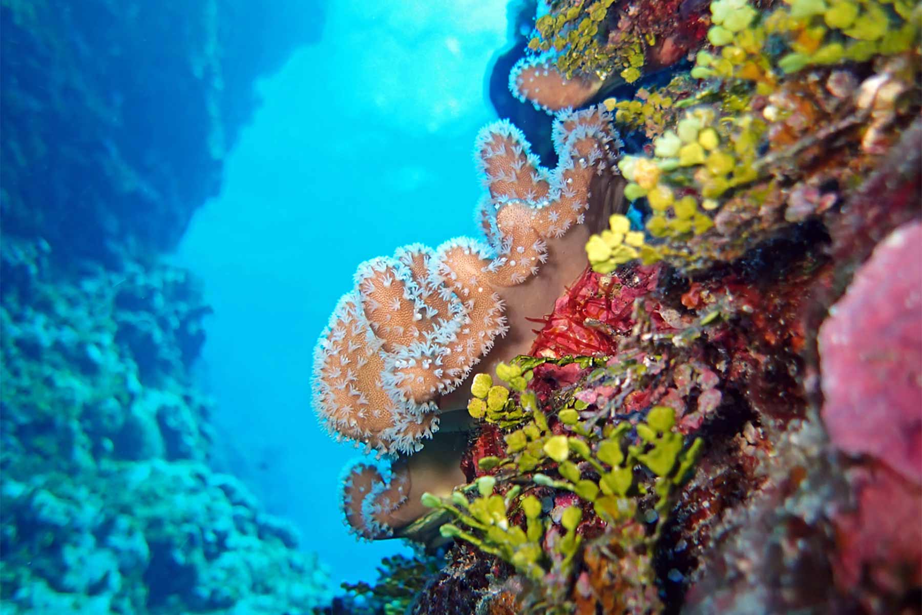 Pacific Remote Islands Marine NM
