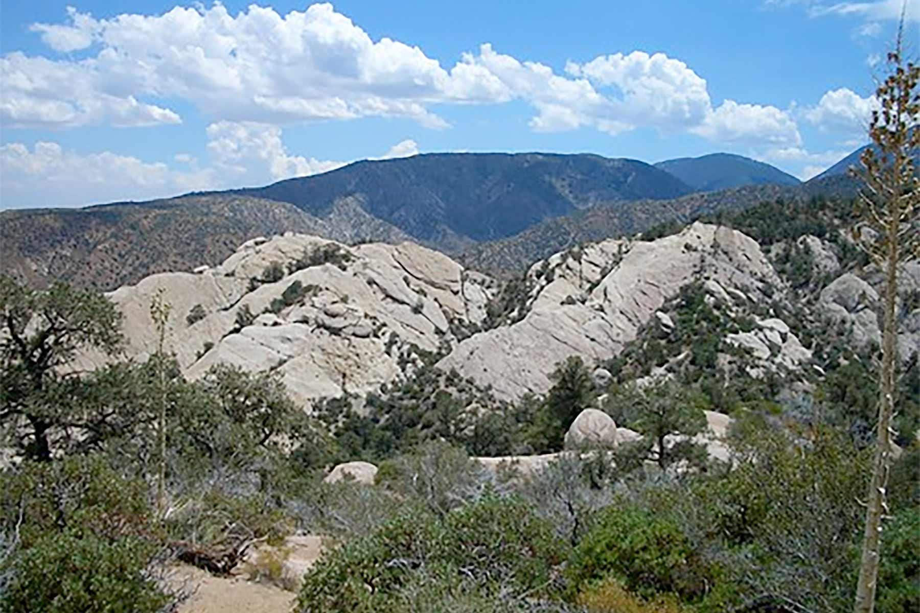 California