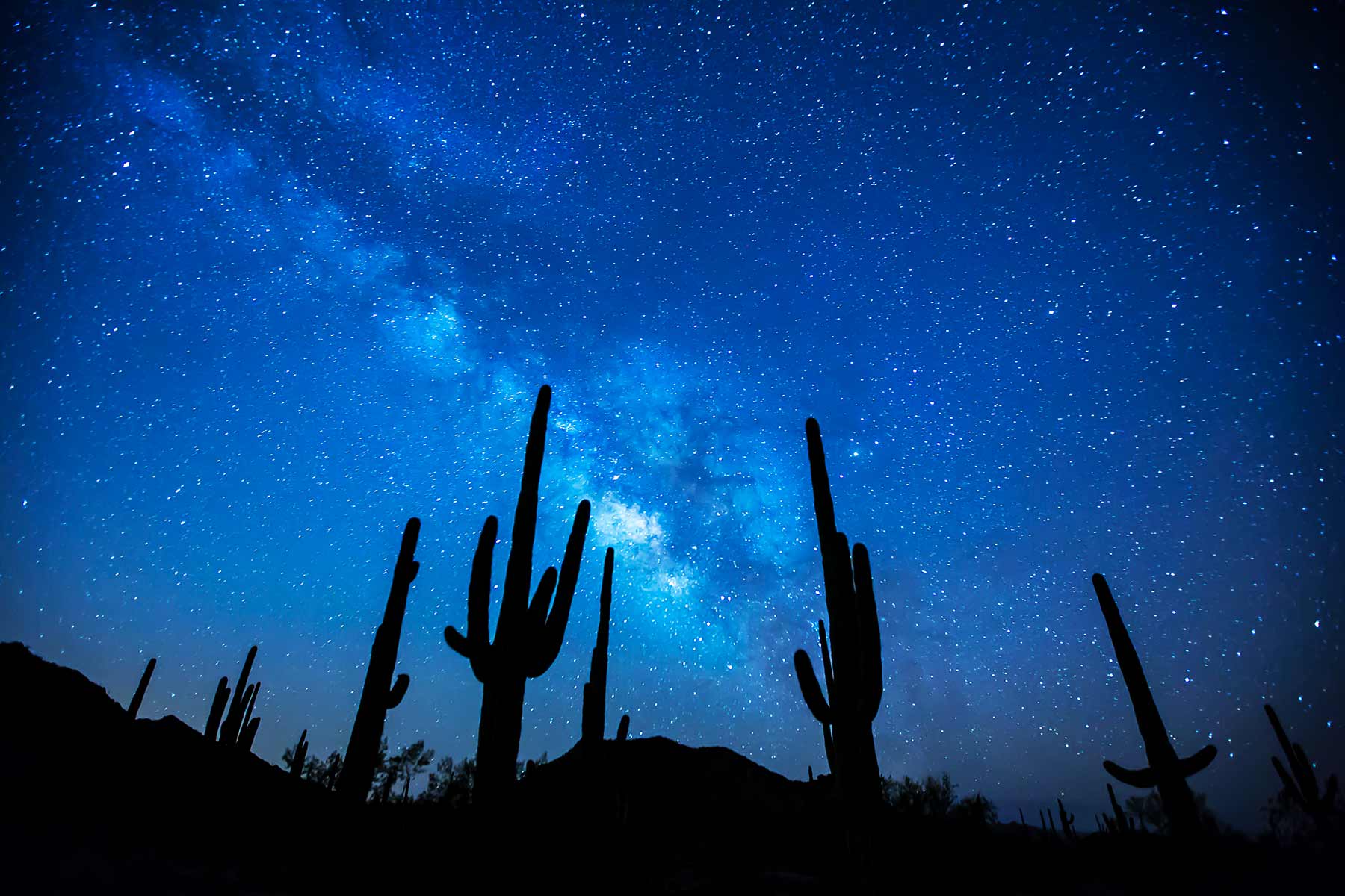 Sonoran Desert National Monument