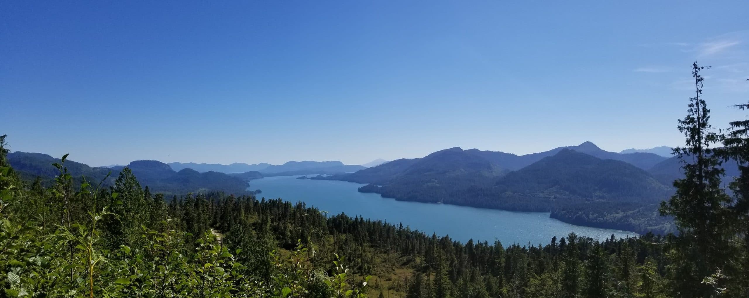 Tongass National Forest