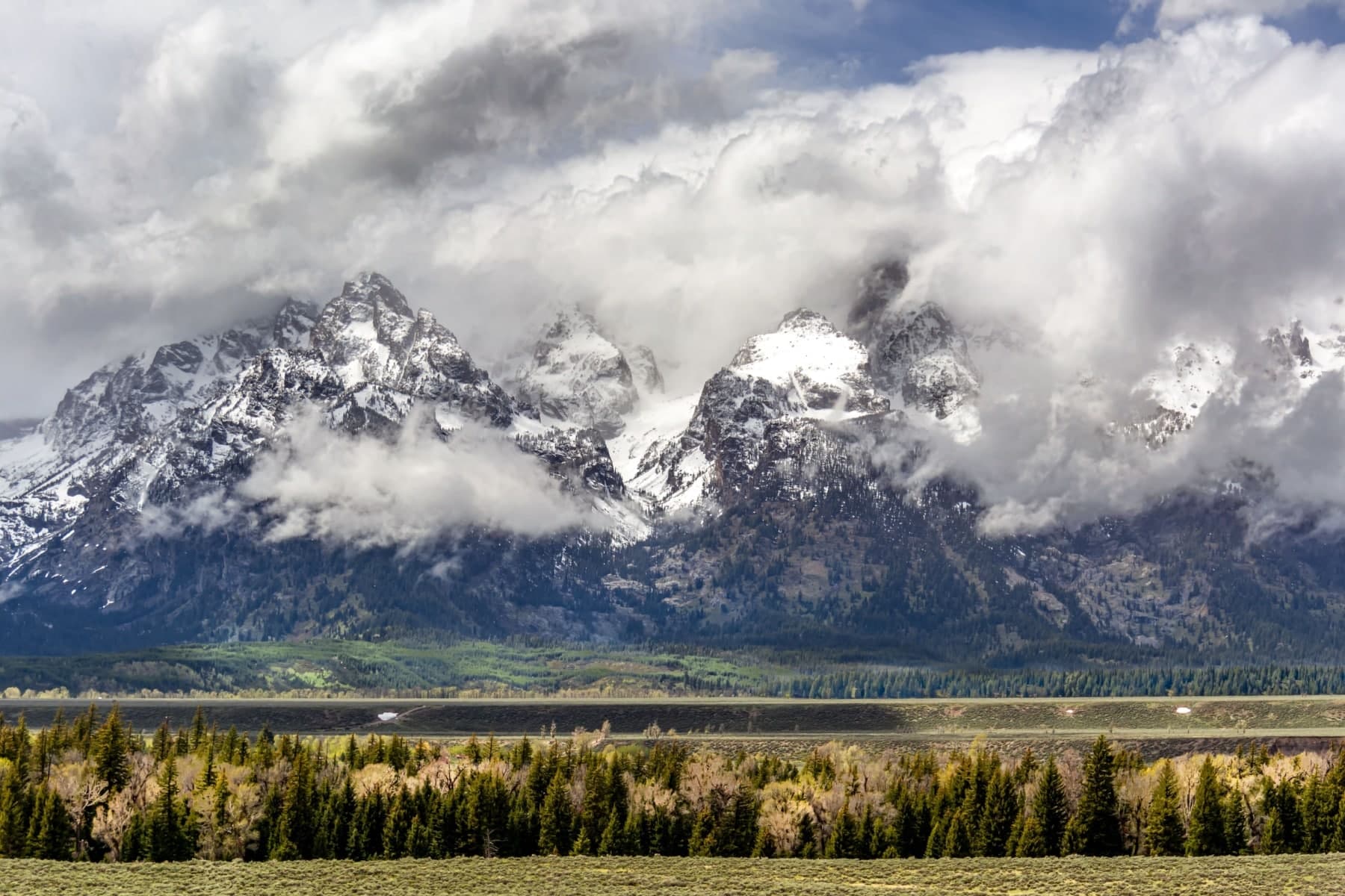 Greater Yellowstone Ecosystem