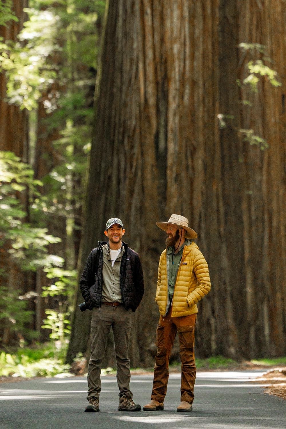 Jim and Will Pattiz standing on a road beneath a giant redwood