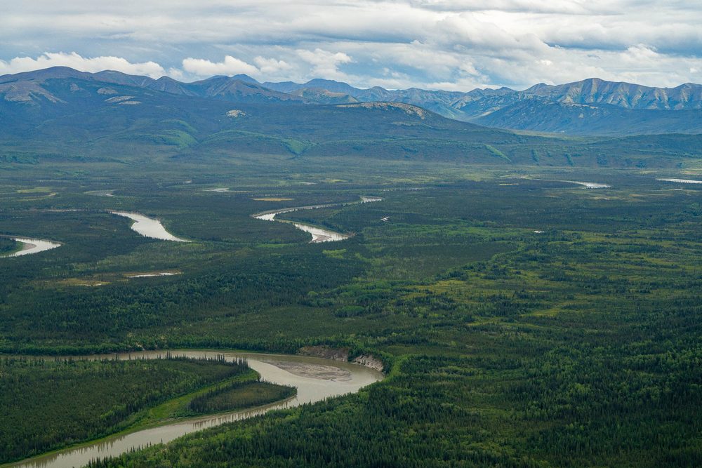 Aerial of a river meandering in tight loops across a green floodplain