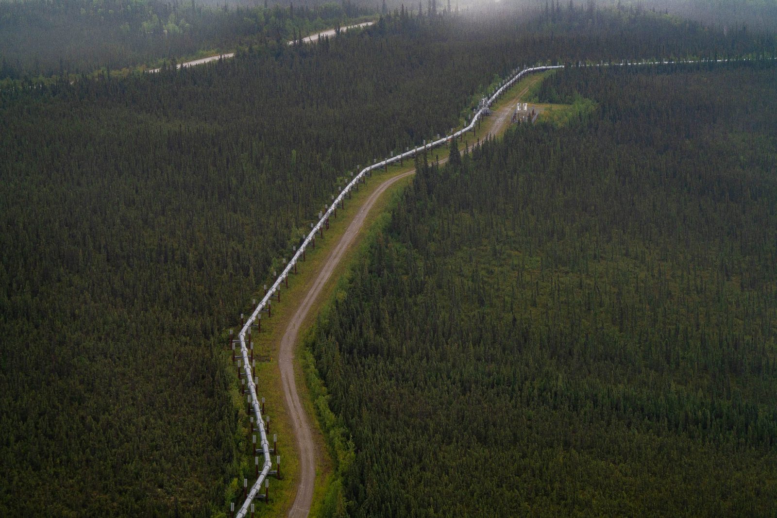 Aerial of the Dalton Highway and the trans-Alaska pipeline running side by side through unbroken spruce forest