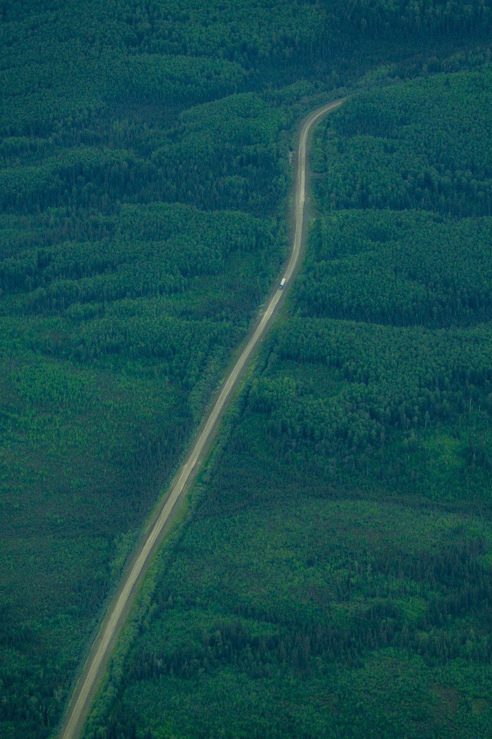 Looking straight down on a gravel industrial road running through spruce forest