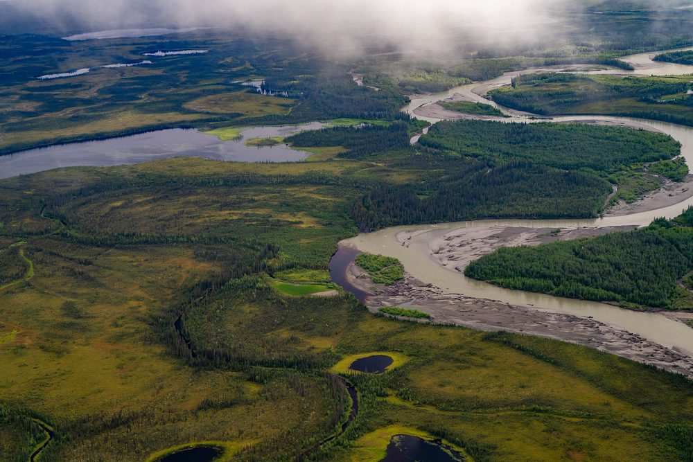 Aerial of a wide river looping through tundra and spruce under low cloud