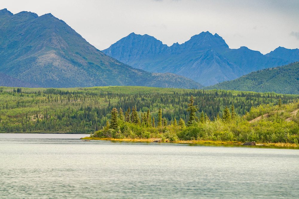 Mountains rising beyond a lake fringed with spruce
