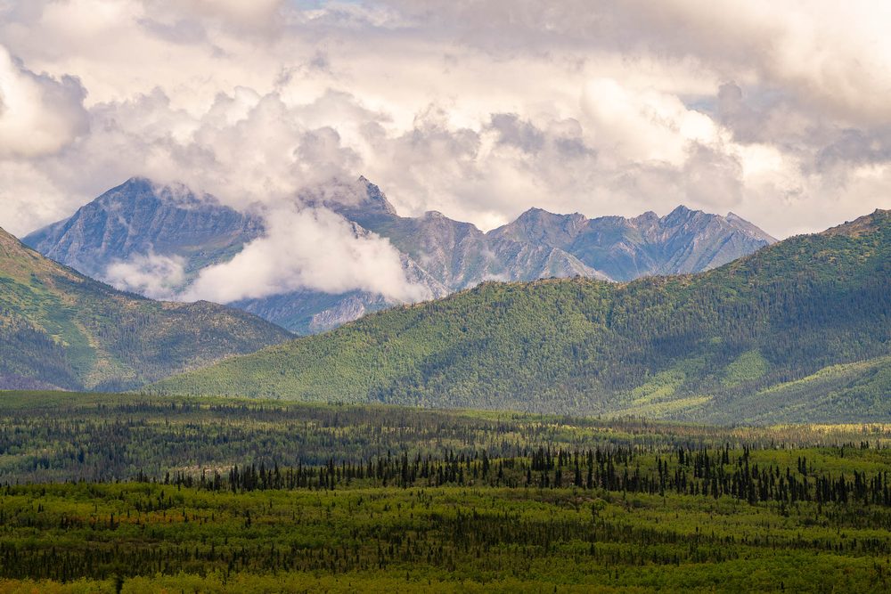 Cloud-wrapped peaks rising beyond green lowland in the Brooks Range