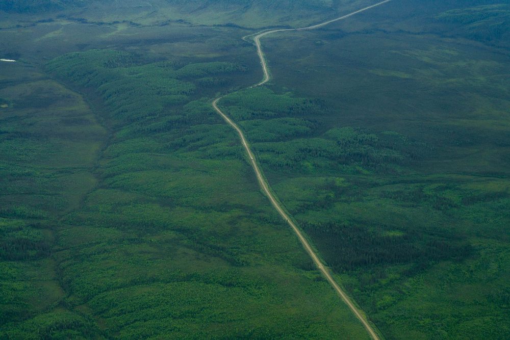 A gravel spur road running straight through spruce forest, from the air