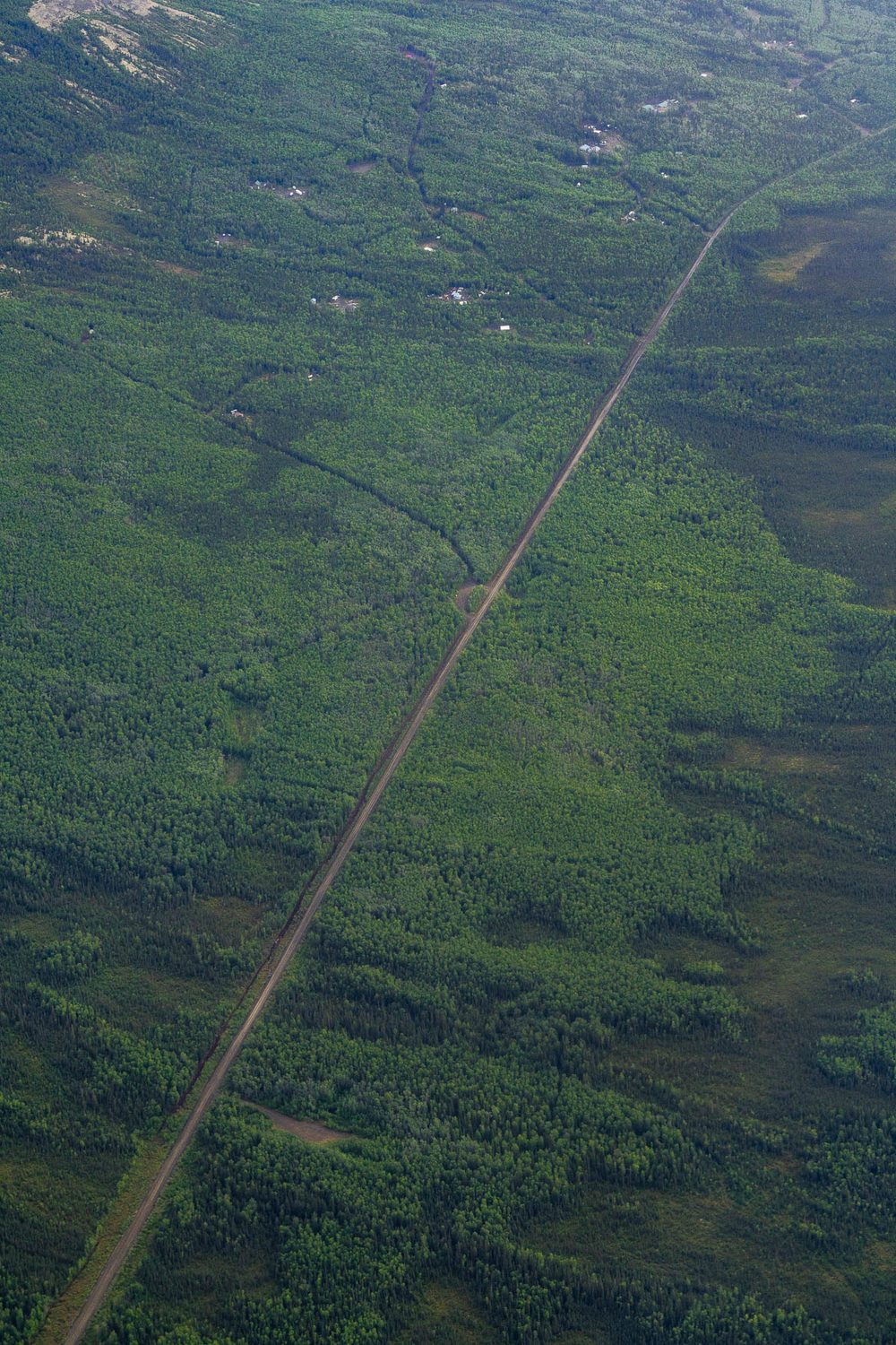 Aerial of a road running dead straight through spruce and wetland