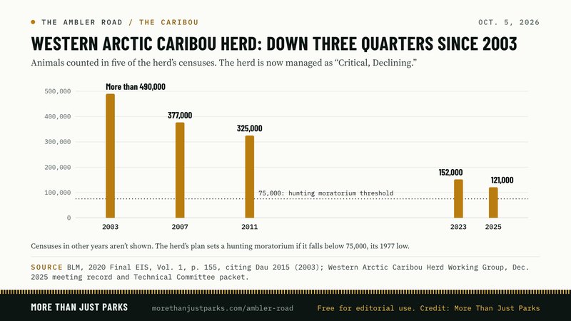 Western Arctic Caribou Herd census: more than 490,000 (2003), 377,000 (2007), 325,000 (2011), 152,000 (2023), 121,000 (2025)