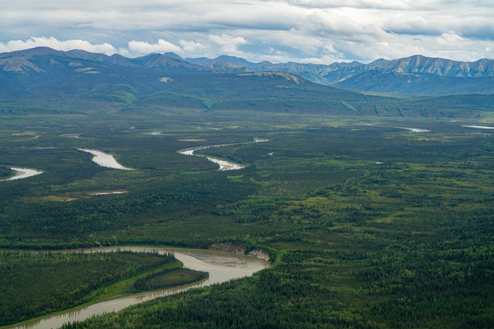 A river meandering in tight loops across a green floodplain