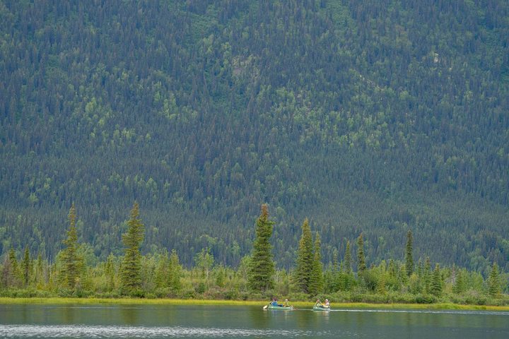 Canoes along the far shore of a lake under the forest