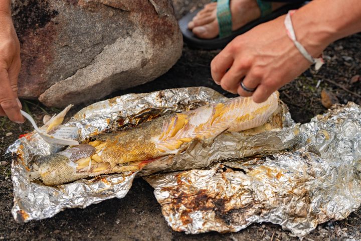 The catch, cooked in foil on the coals of a shore fire