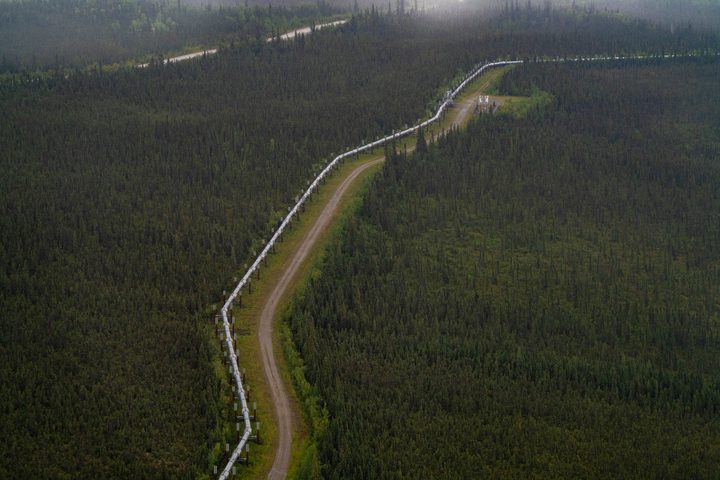 The Dalton Highway and the trans-Alaska pipeline side by side through unbroken spruce