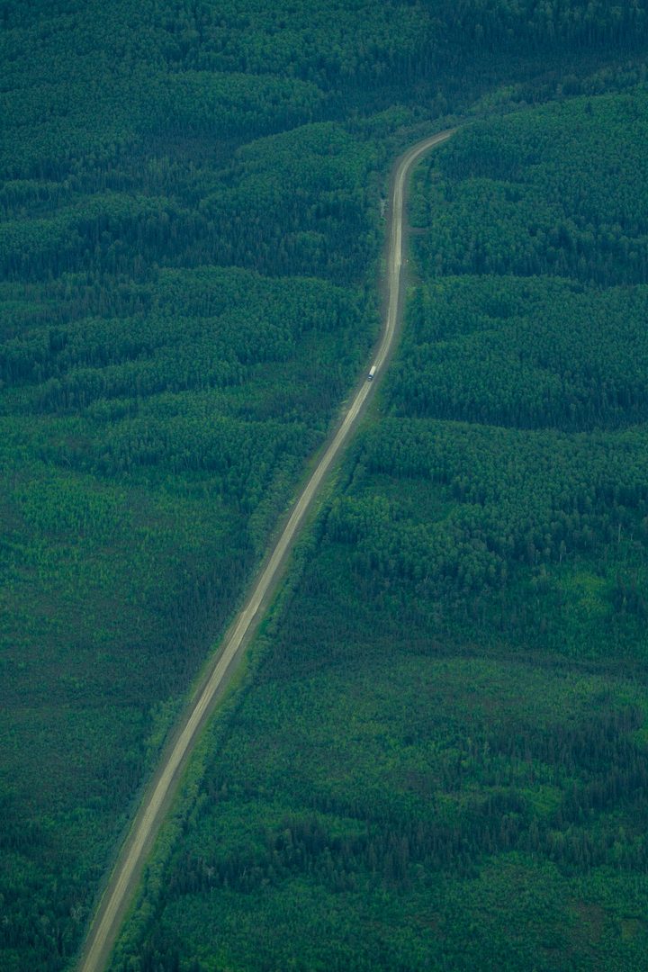 Straight down on a gravel industrial road through spruce