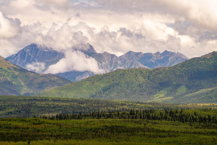 Cloud-wrapped peaks rising beyond green lowland