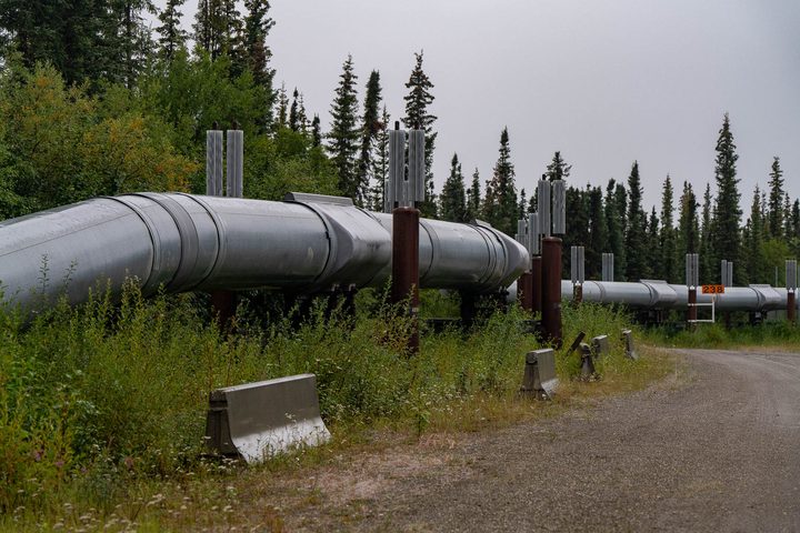 The trans-Alaska pipeline on its supports beside the gravel highway