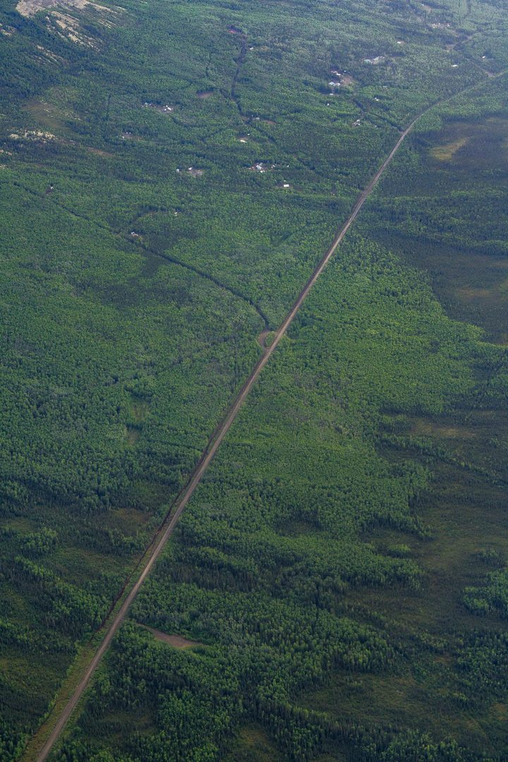 A road dead straight through spruce and wetland