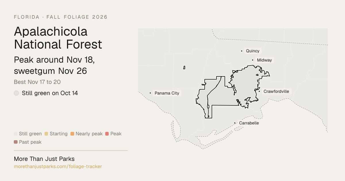 Apalachicola National Forest Fall Foliage 2026: Peak Week | More Than ...