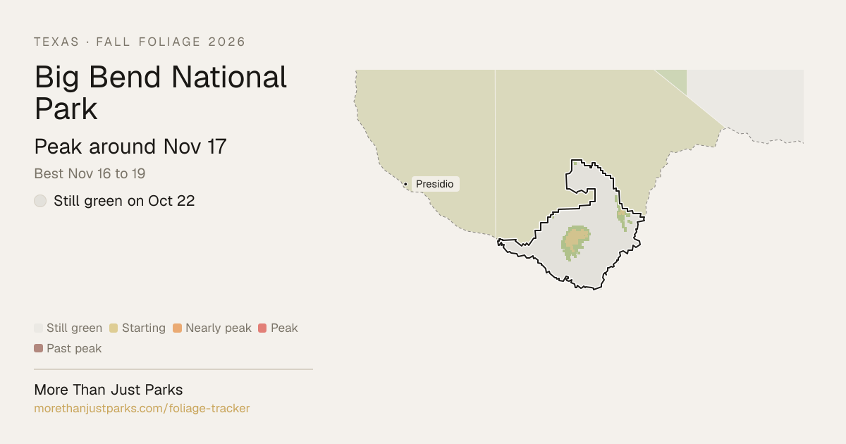 Big Bend Fall Foliage 2026: Peak Week and What's Turning Now | More