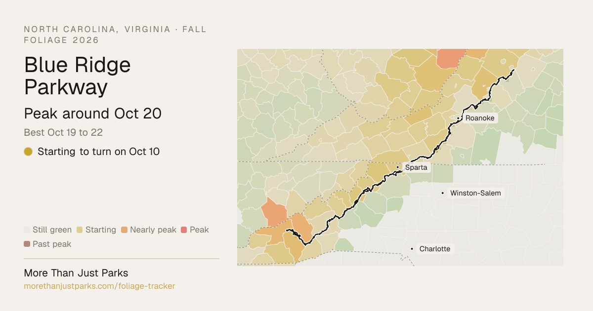 Blue Ridge Parkway Fall Foliage 2026: Peak Week | More Than Just Parks