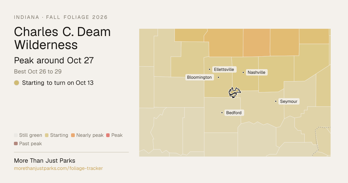 Charles C. Deam Wilderness Fall Foliage 2026: Peak Week | More Than ...