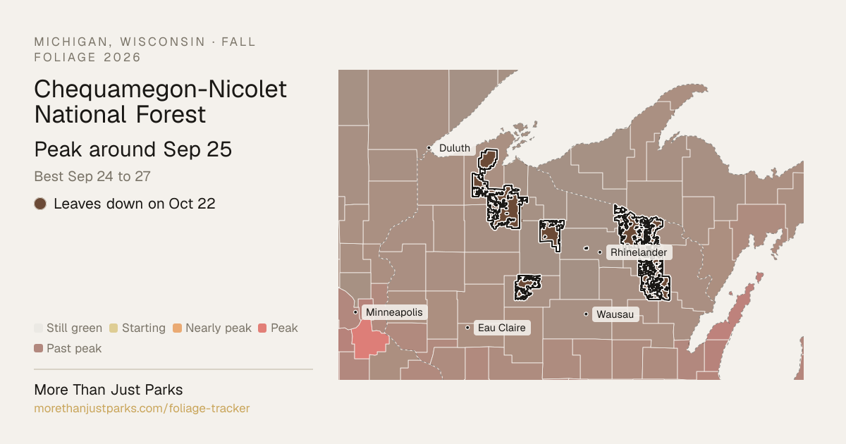 Chequamegon-Nicolet Fall Foliage 2026: Peak Week | More Than Just Parks