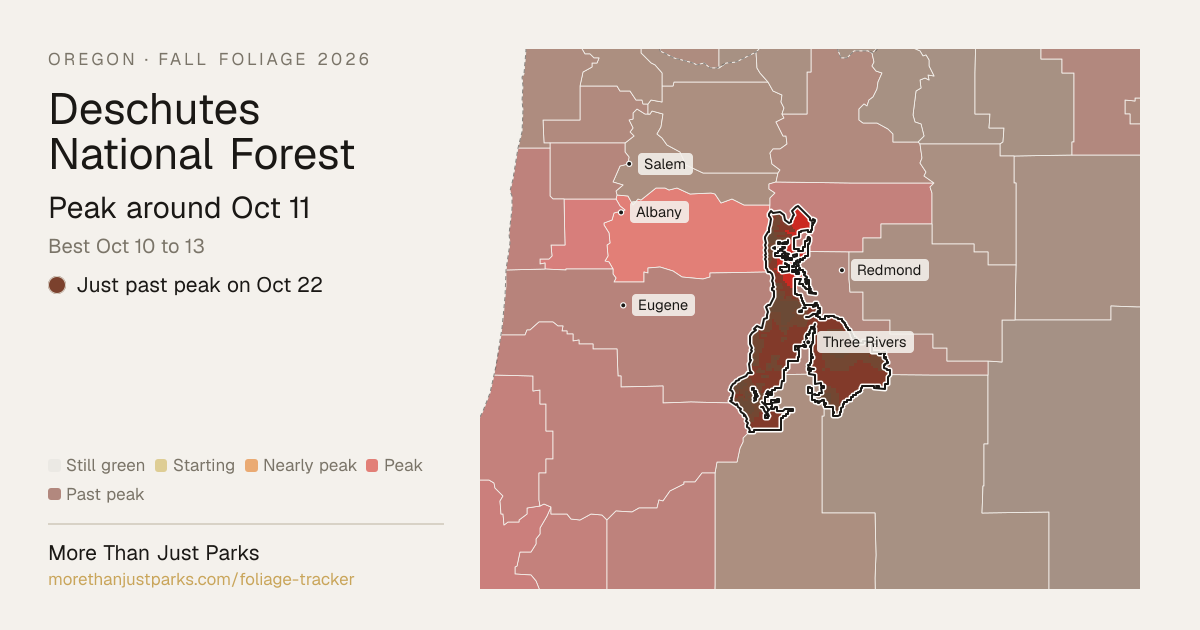 Deschutes Fall Foliage 2026: Peak Week, What's Turning Now | More Than