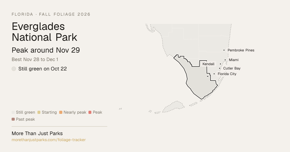 Everglades Fall Foliage 2026: Peak Week, What's Turning Now | More Than