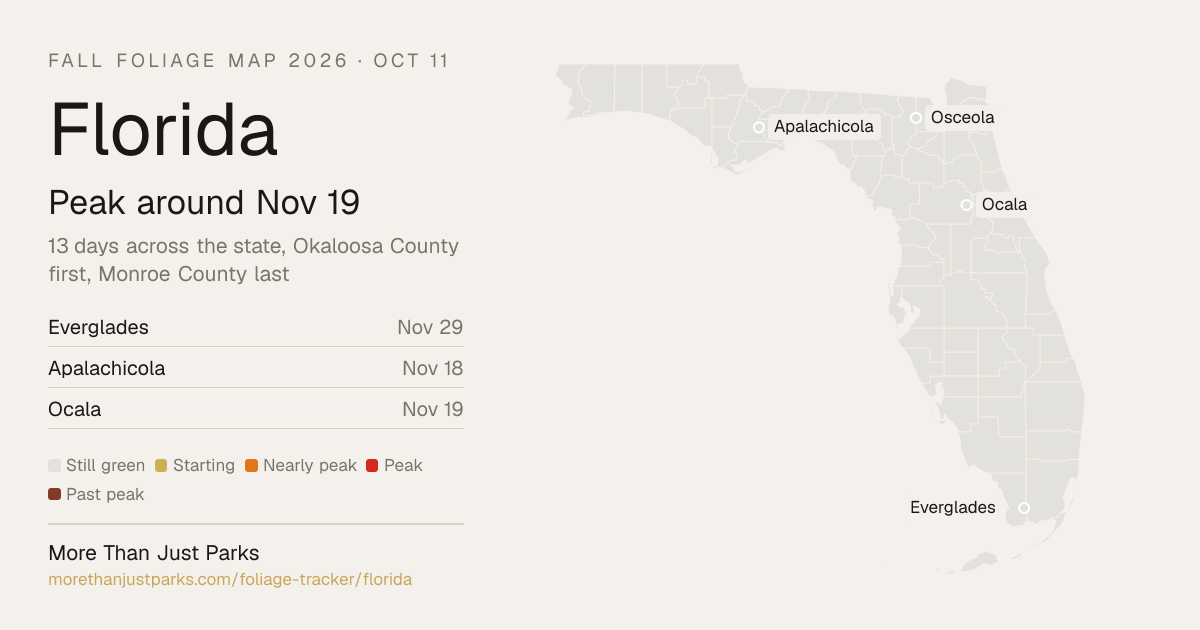 Florida Fall Foliage Map 2026: Peak Nov 17 to Nov 26 | More Than Just Parks
