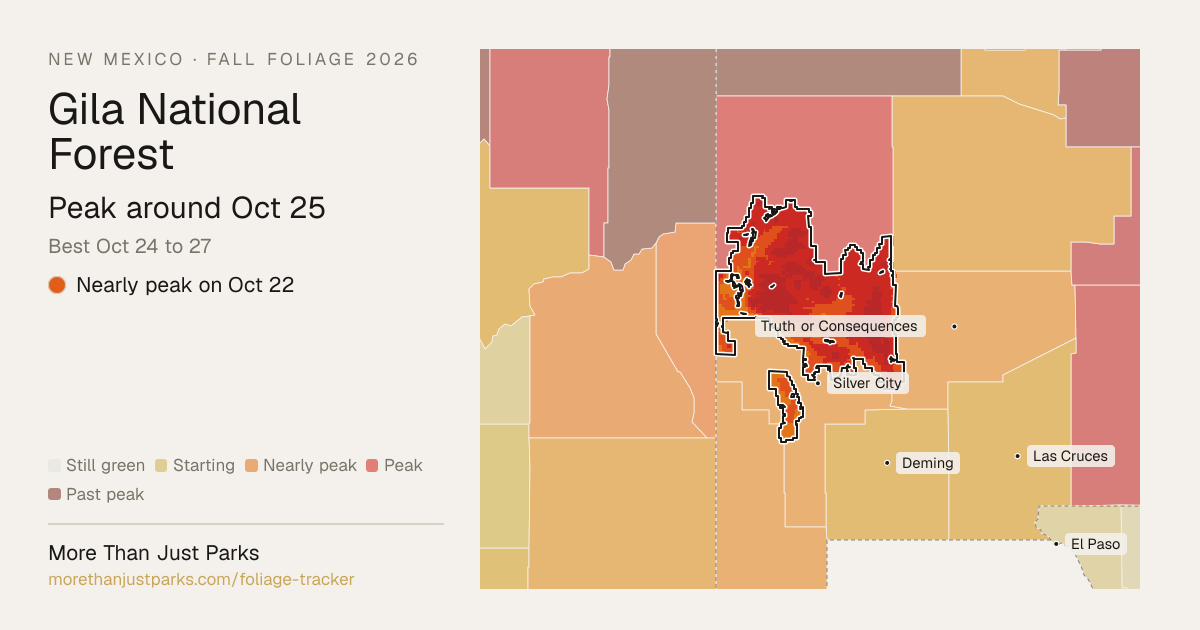 Gila Fall Foliage 2026: Peak Week and What's Turning Now | More Than