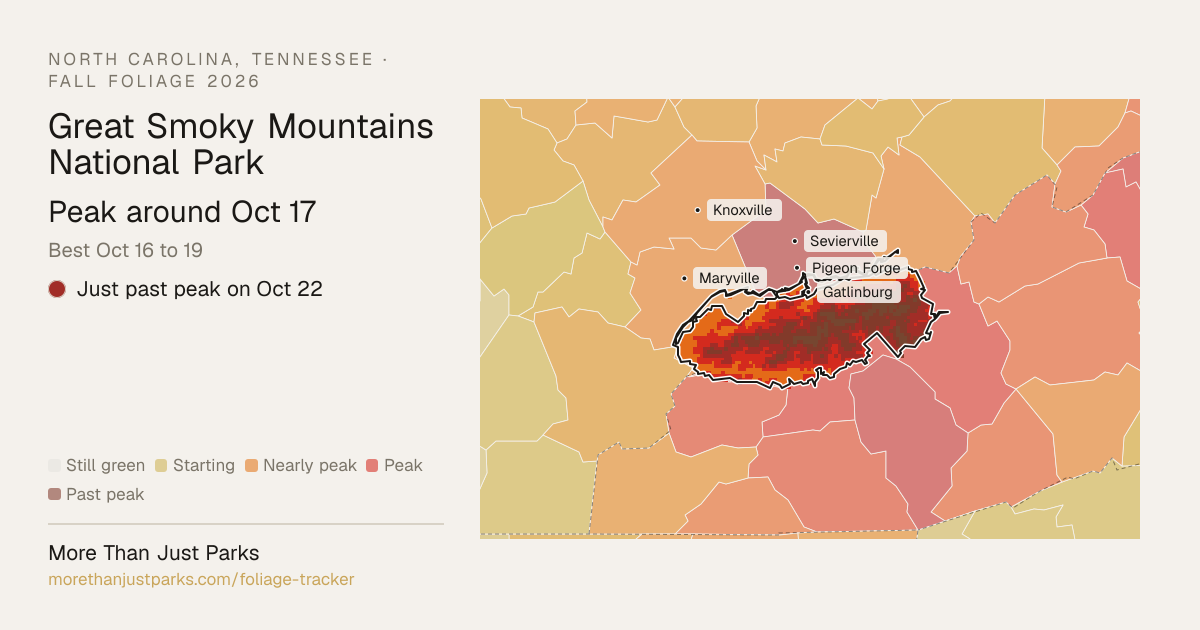 Great Smoky Mountains Fall Foliage 2026: Peak Week | More Than Just Parks