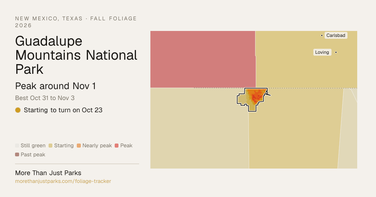 Guadalupe Mountains Fall Foliage 2026: Peak Week | More Than Just Parks
