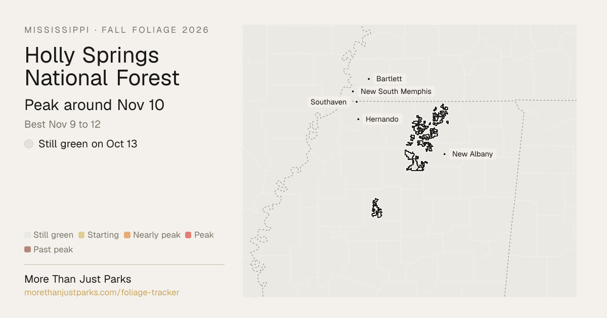 Holly Springs National Forest Fall Foliage 2026: Peak Week | More Than ...