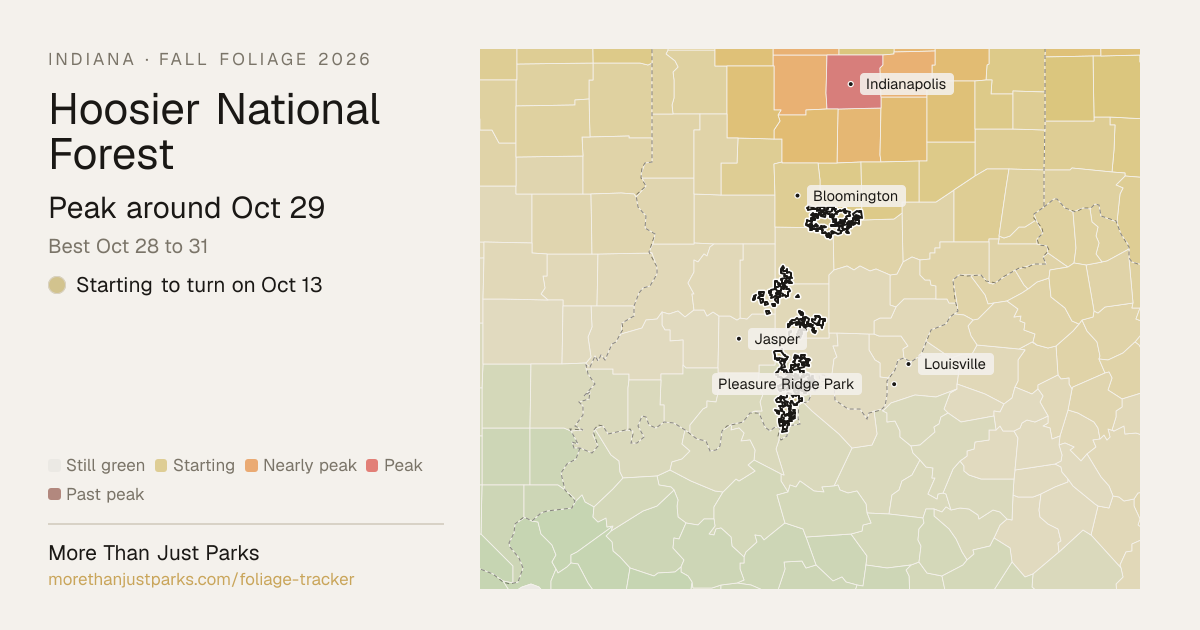 Hoosier Fall Foliage 2026: Peak Week and What's Turning Now | More Than ...