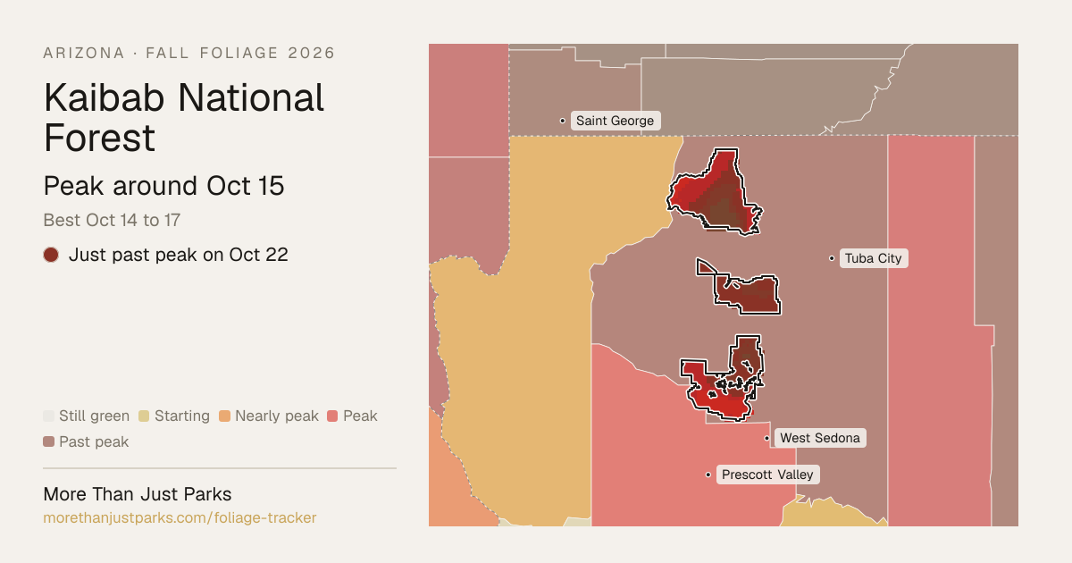 Kaibab Fall Foliage 2026: Peak Week and What's Turning Now | More Than
