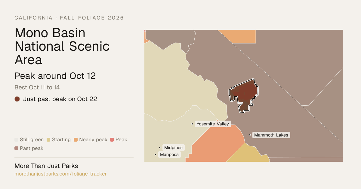 Mono Basin National Scenic Area Fall Foliage 2026: Peak Week | More