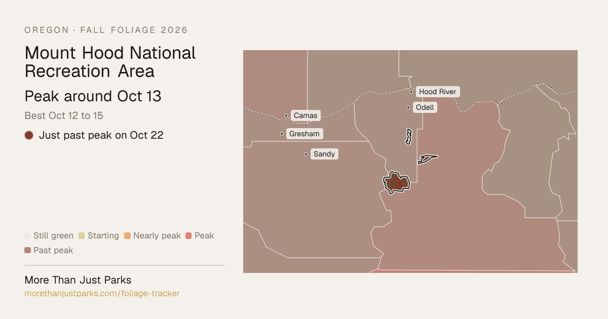 Mount Hood Fall Foliage 2026: Peak Week, What's Turning Now | More Than